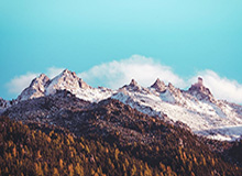 体育平台-王全立：国乒遭遇“黑色星期三” ，难题如何解？